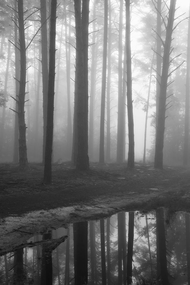 Photograph by Захаров Дмитрий