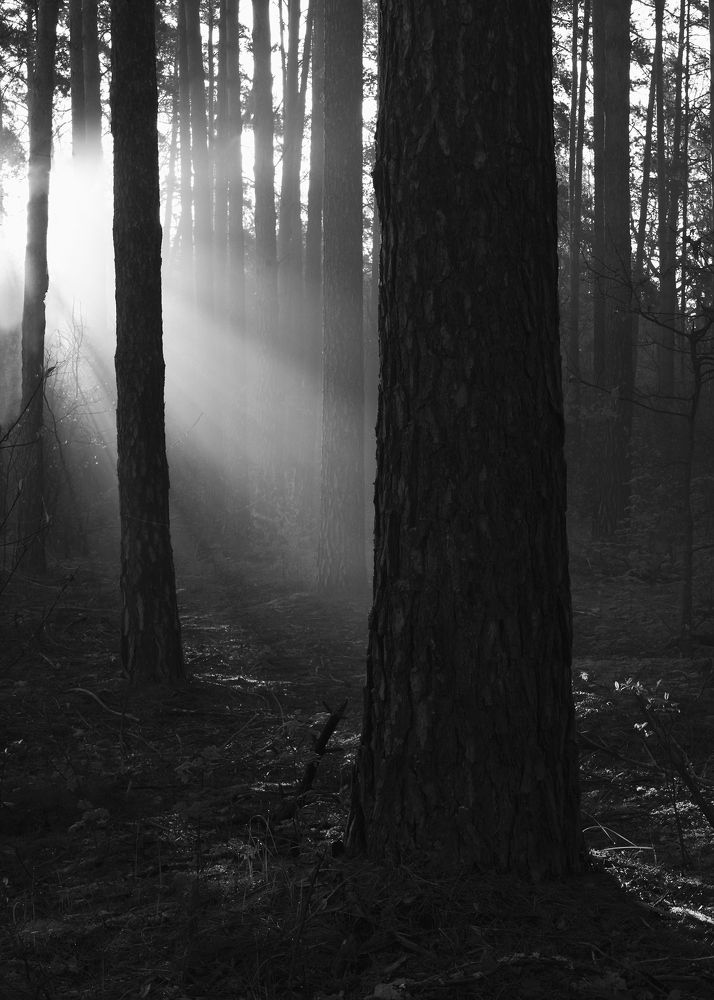 Photograph by Захаров Дмитрий