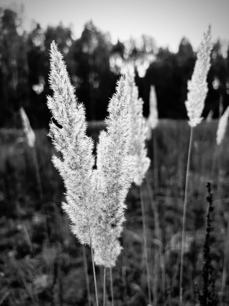 Photograph by Татьяна Михайловна