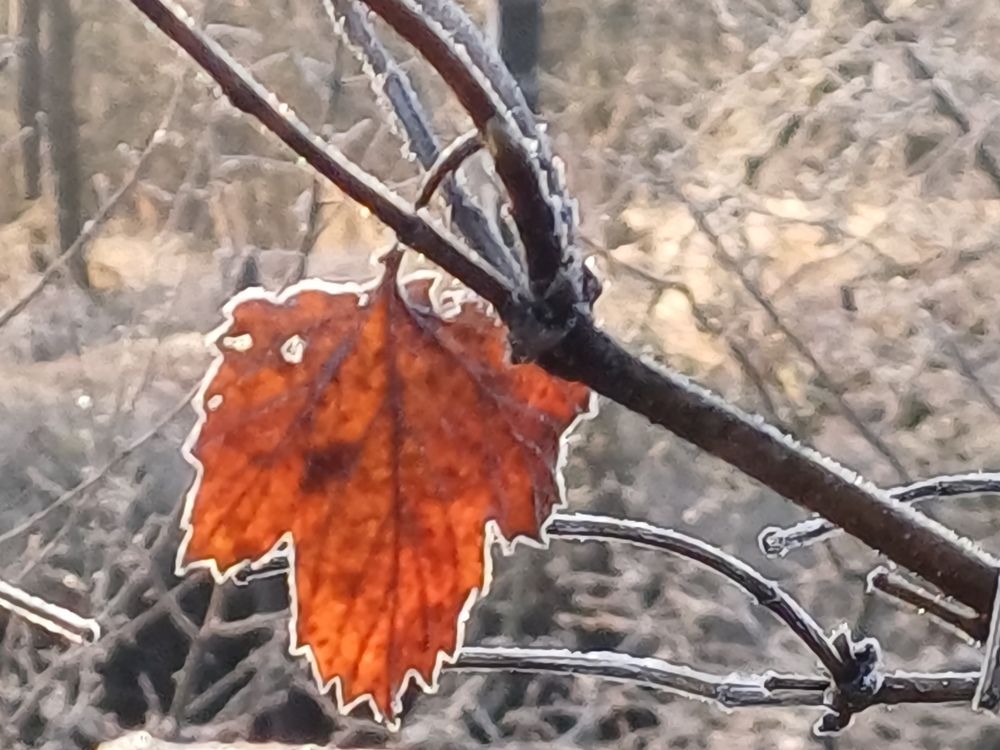 Photograph by Валентина