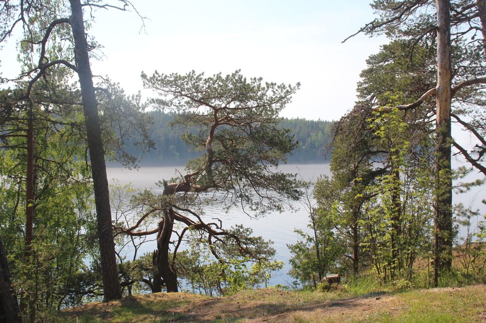 Photograph by Валентина