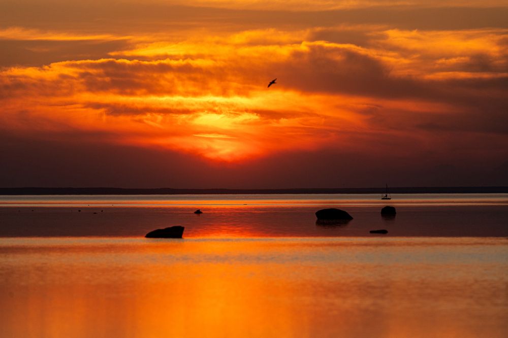 Photograph by Дмитрий Константинов