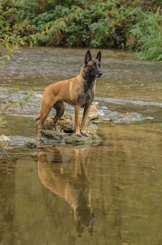 Photograph by Ольга Новикова