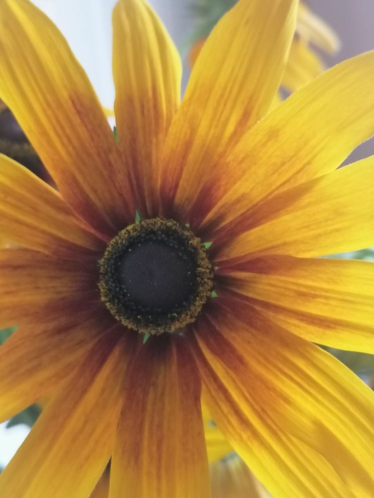 Photograph by Татьяна