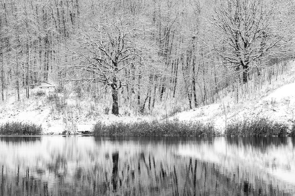 Photograph by Ольга Осинина