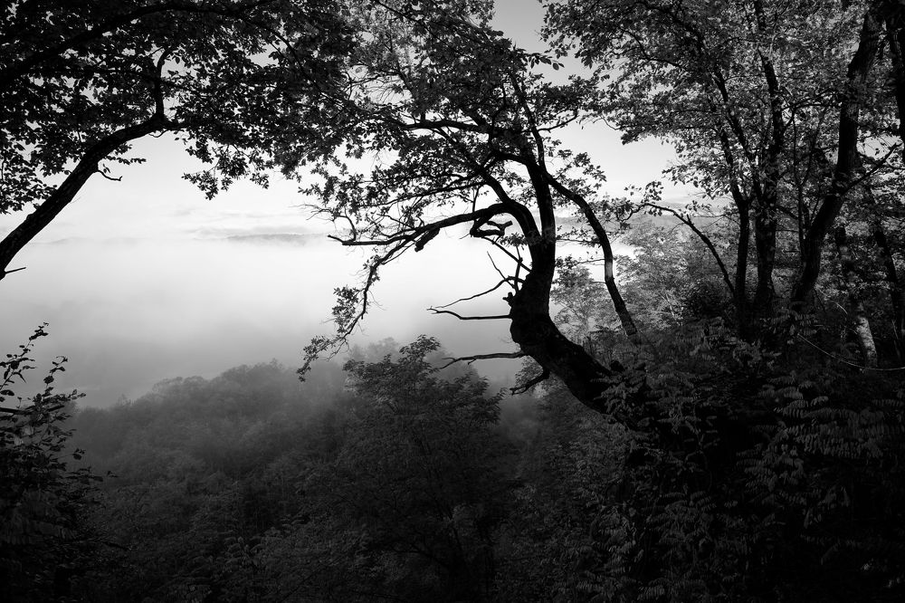 Photograph by Пиленгас Александр