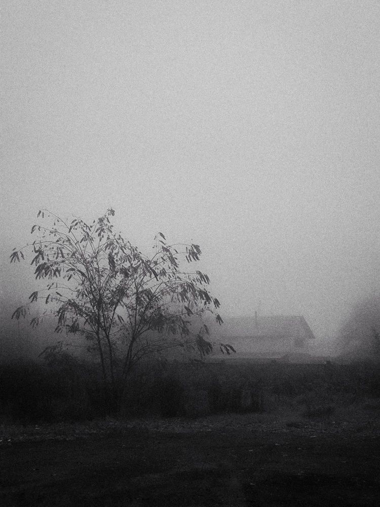 Photograph by Юлия Бурминская