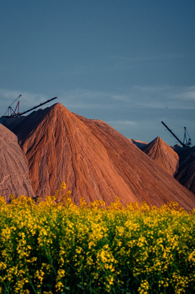 Фотография автора Геннадий Ломеко
