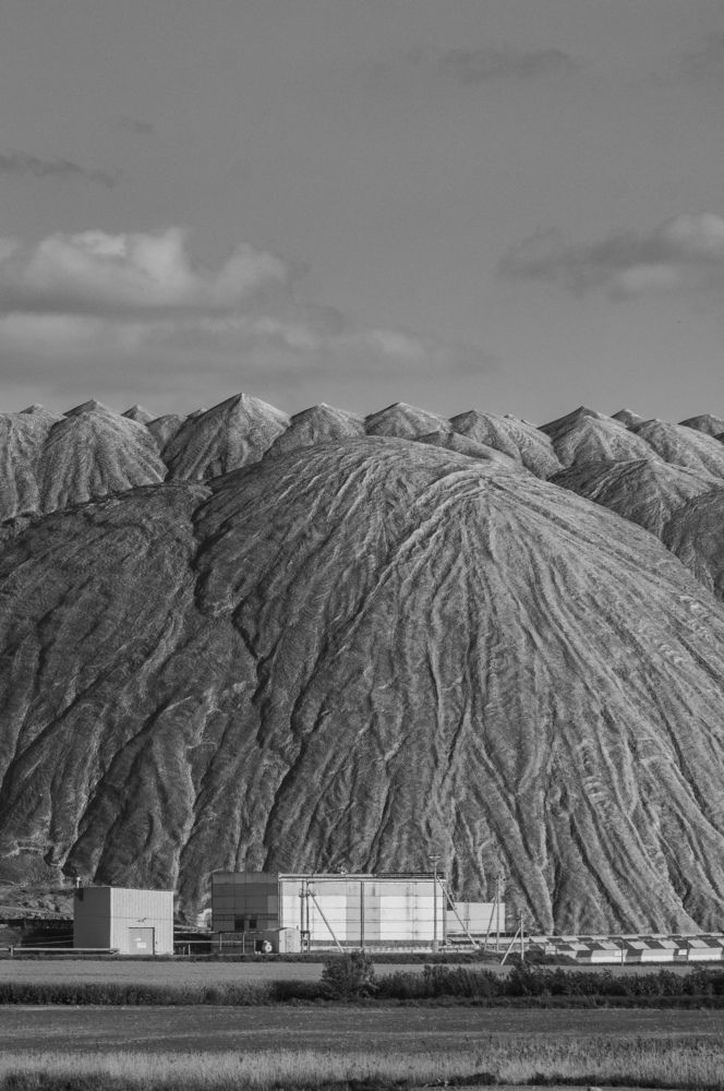 Фотография автора Геннадий Ломеко