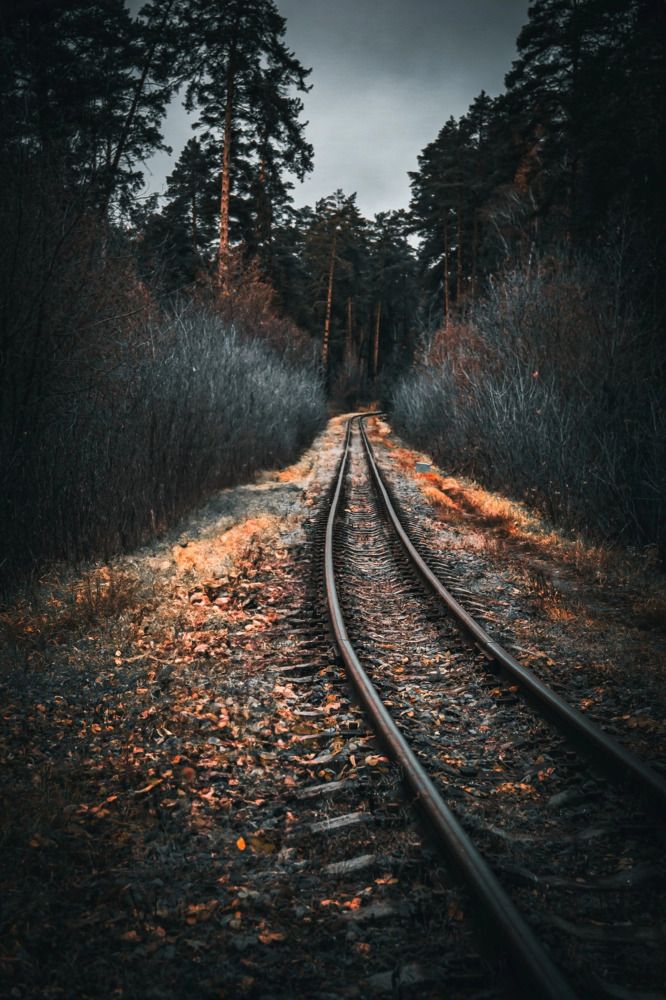 Photograph by Ольга Индрикова