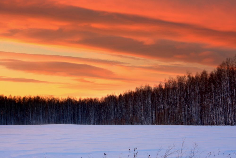 Фотография автора Nelya  Lysenko