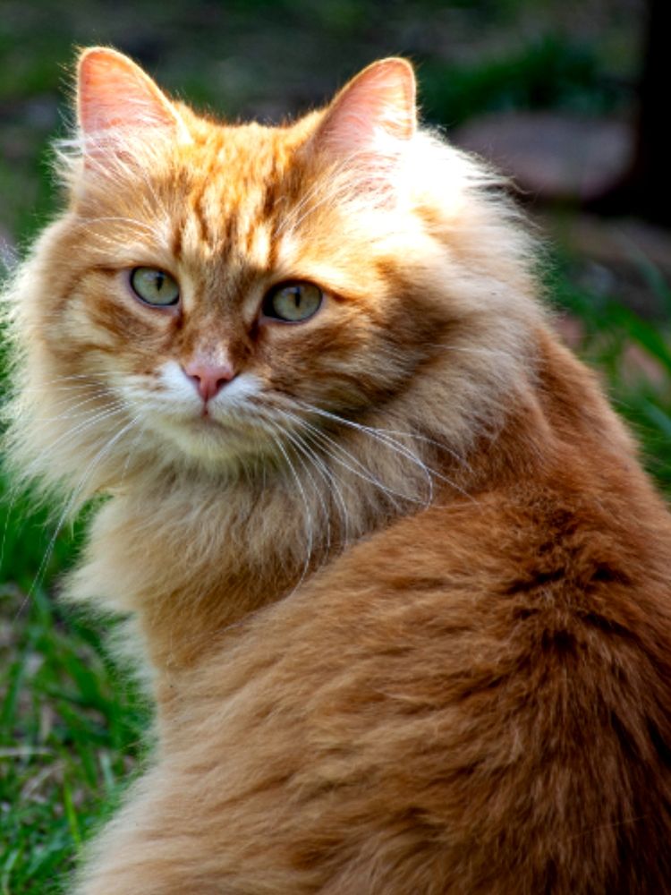 Photograph by Людмила Баймухаметова