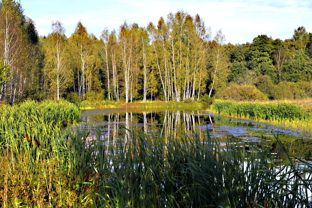 Photograph by Миша Автократов