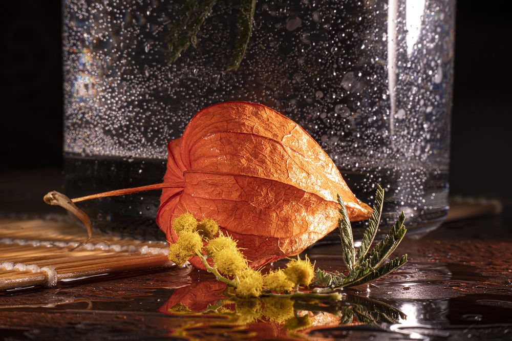 Photograph by Бурикова Екатерина