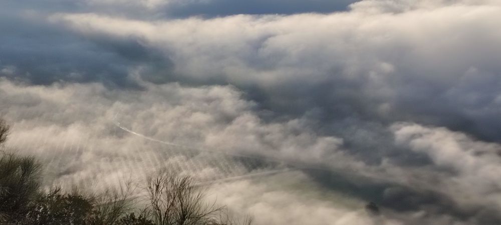 Photograph by Sergio Romero Fernández
