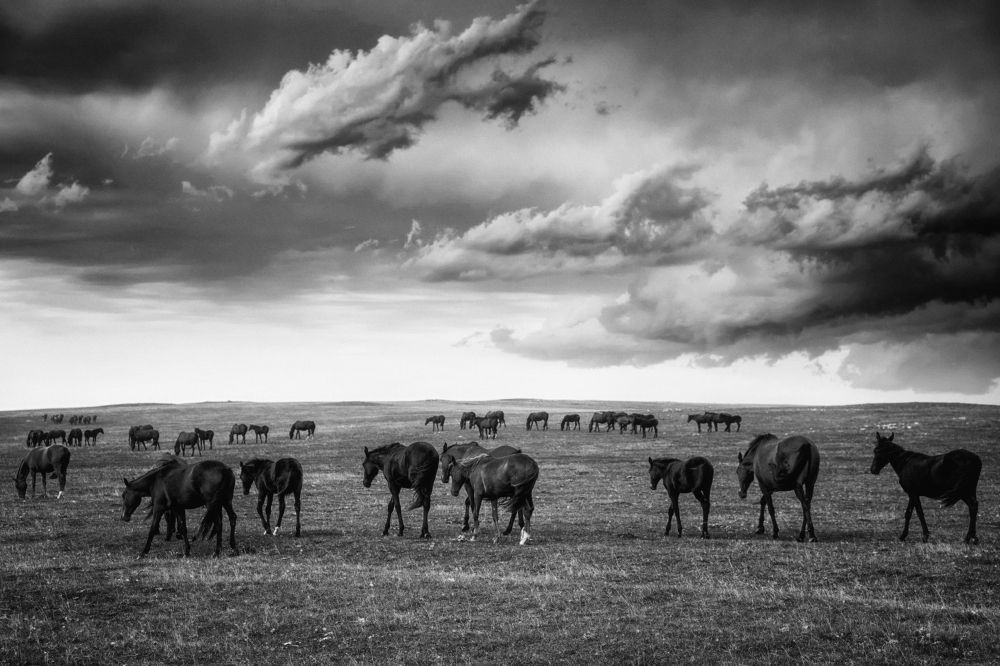 Photograph by Алексей Андреев