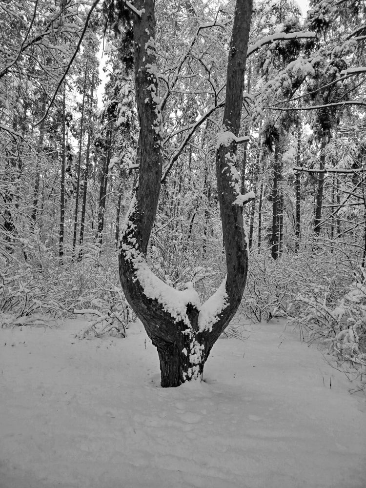 Photograph by Olga Александрова