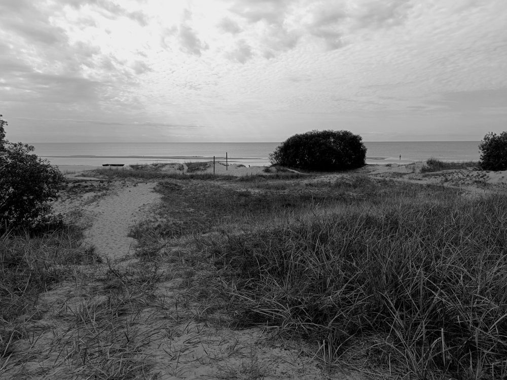 Photograph by Olga Kot