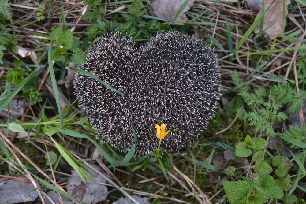 Photograph by Андрей Бондаренко