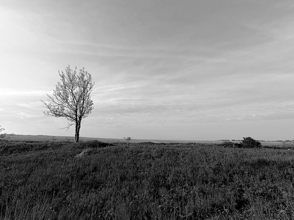 Photograph by Olga Kot