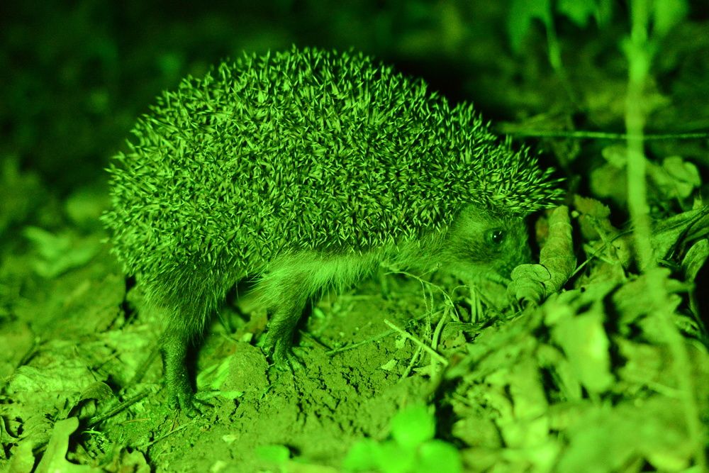 Photograph by Андрей Бондаренко