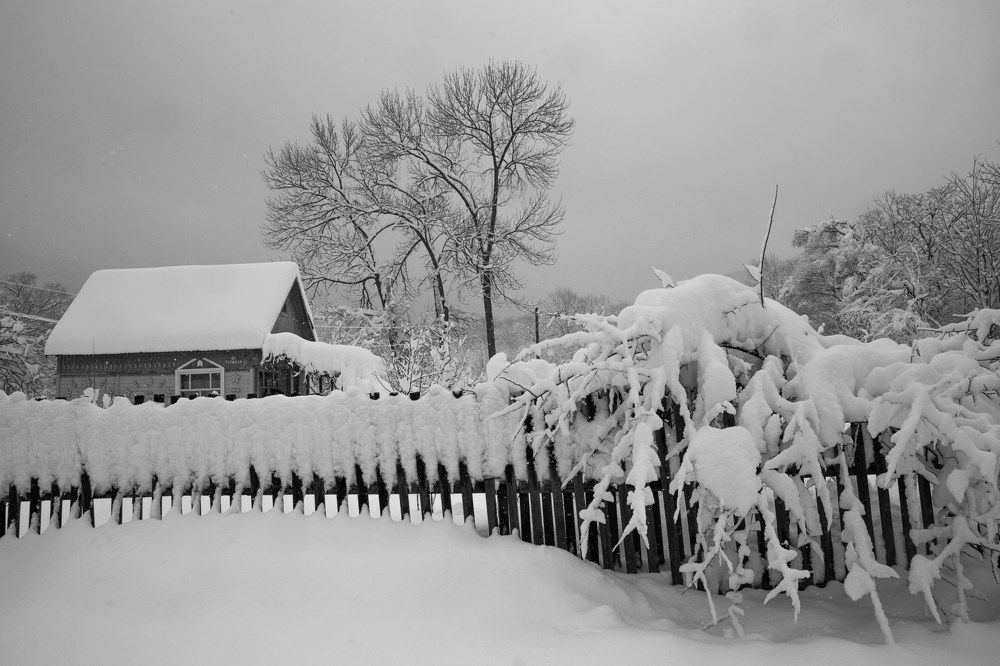 Photograph by Тамара Морозова