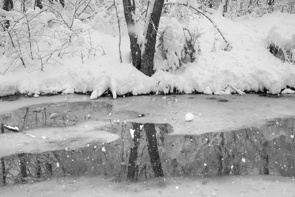 Photograph by Тамара Морозова