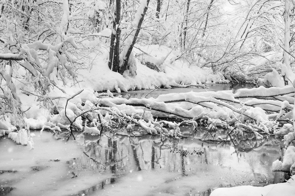 Photograph by Тамара Морозова