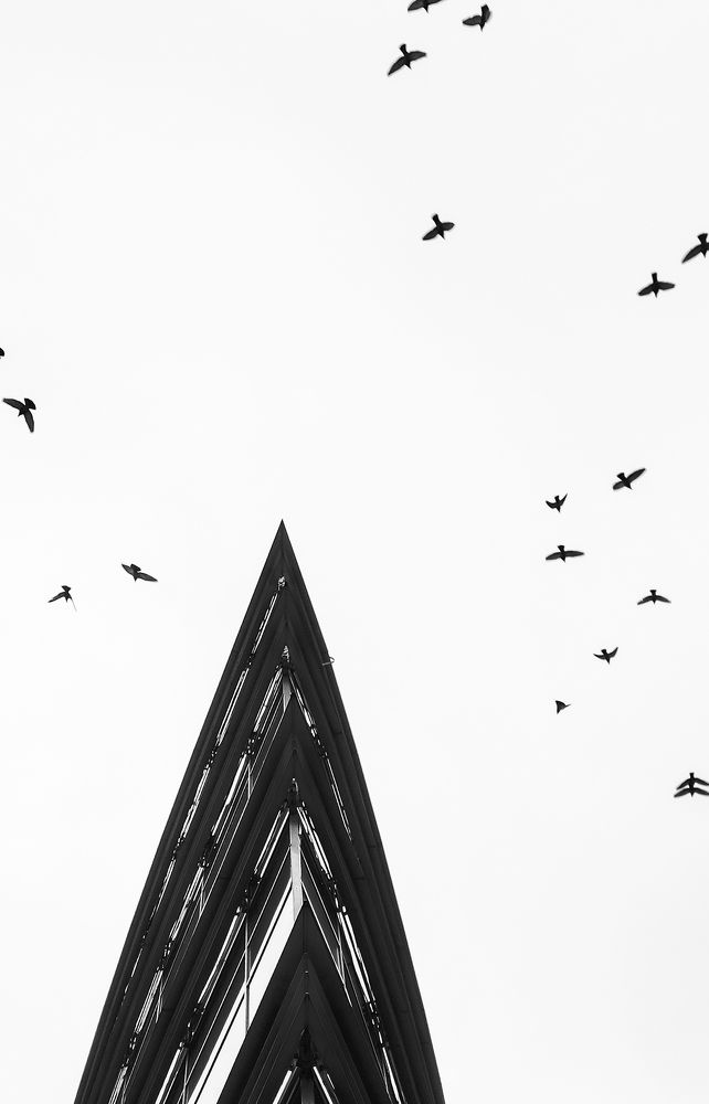 Photo #11504627