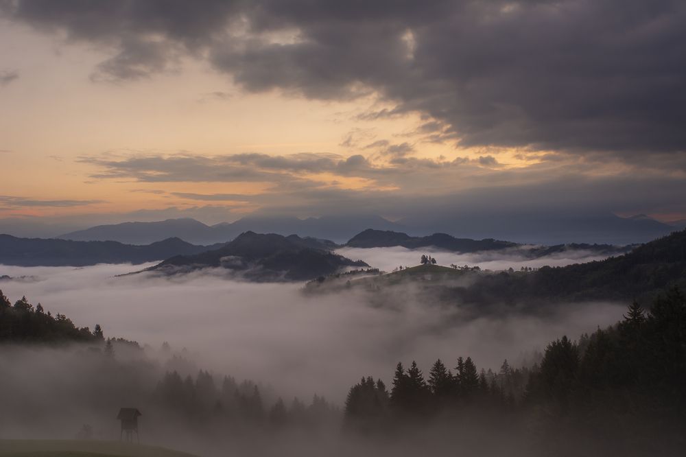 Photograph by Renee Johansson