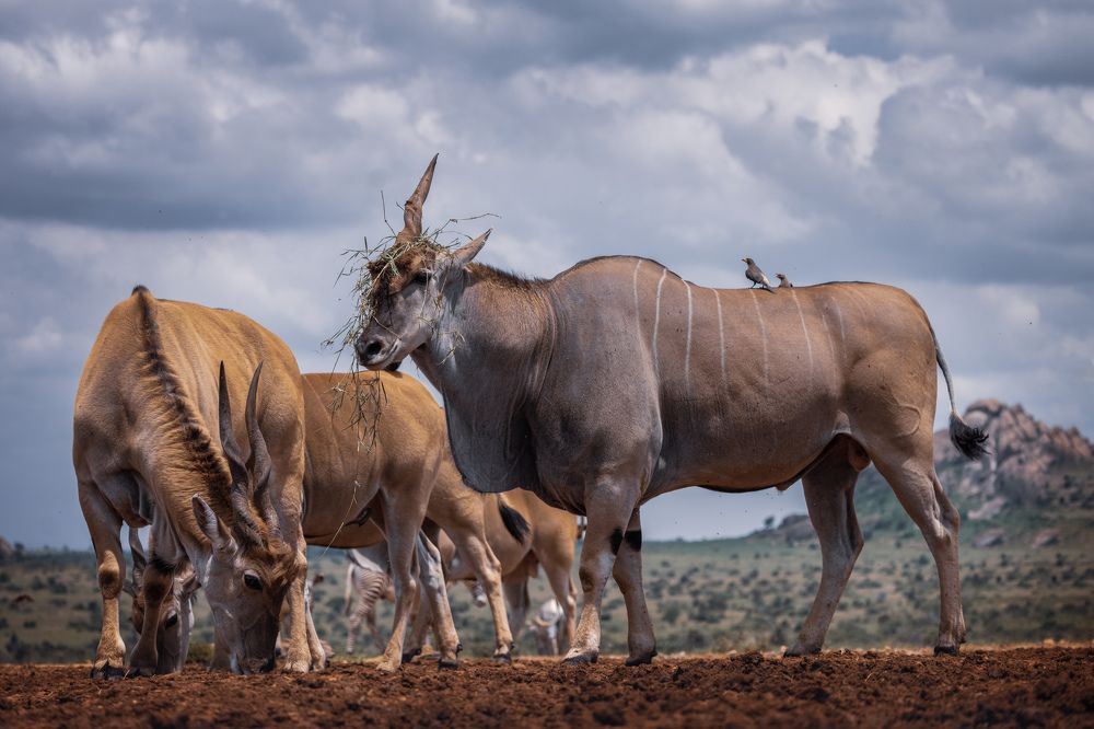 Photograph by Ольга Шайдулина