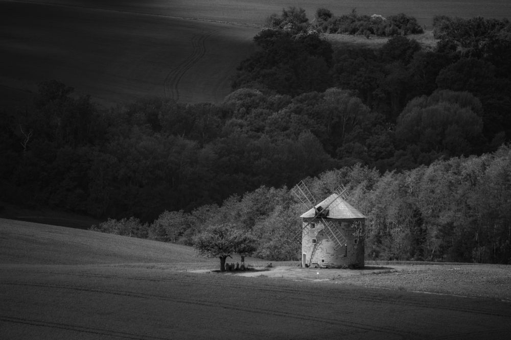 Photograph by Damian Cyfka