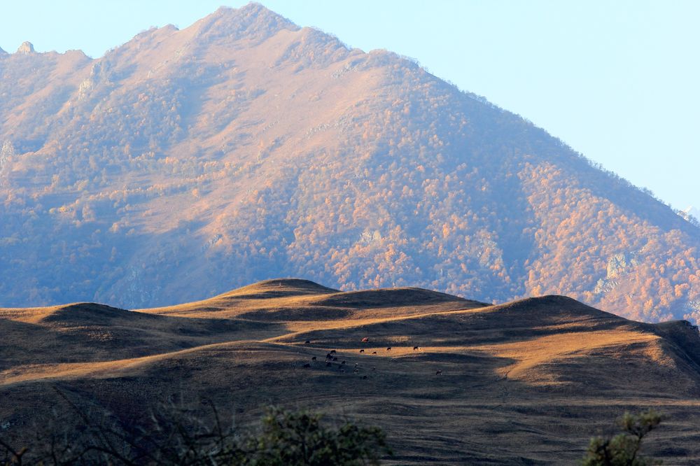 Photograph by Роман Ларшин