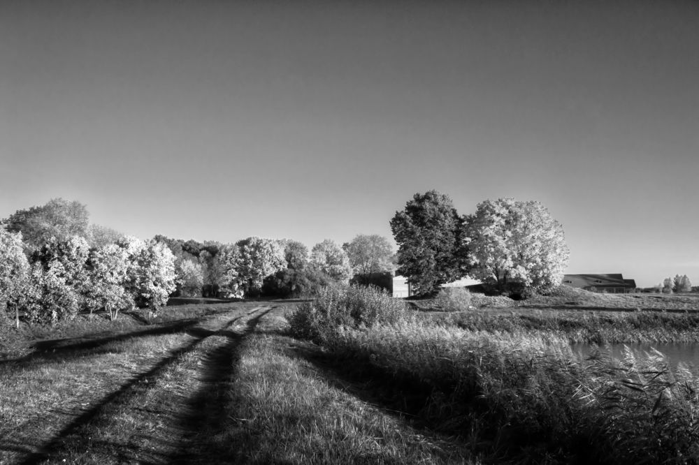 Фотография автора Юлия Кранина