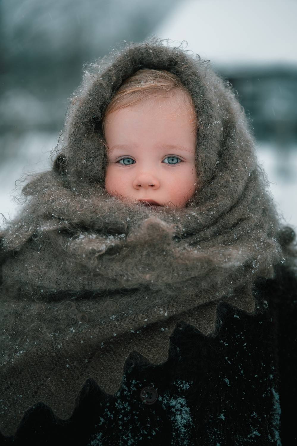 Photo #11504812