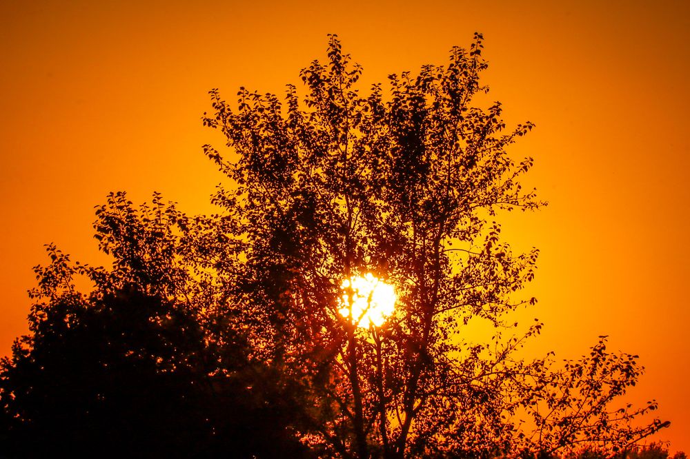 Photograph by Хельга Кольцова