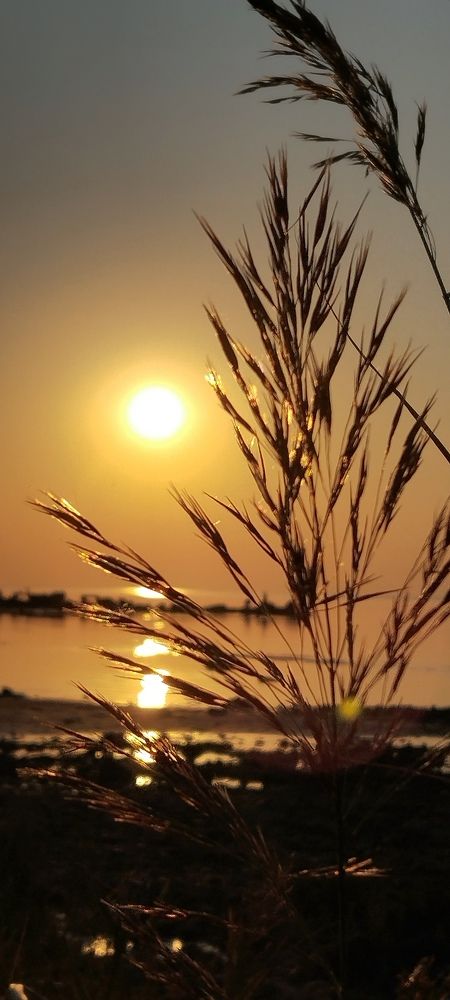 Photograph by Любовь Макарова