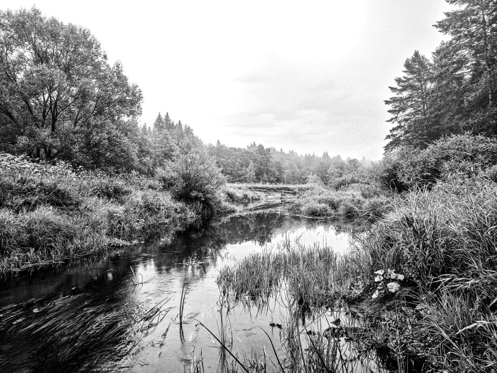 Photograph by Хельга Кольцова