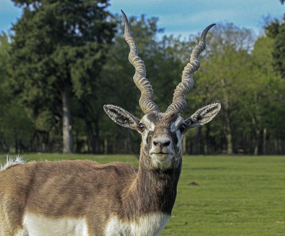 Фотография автора Marina Martorelli