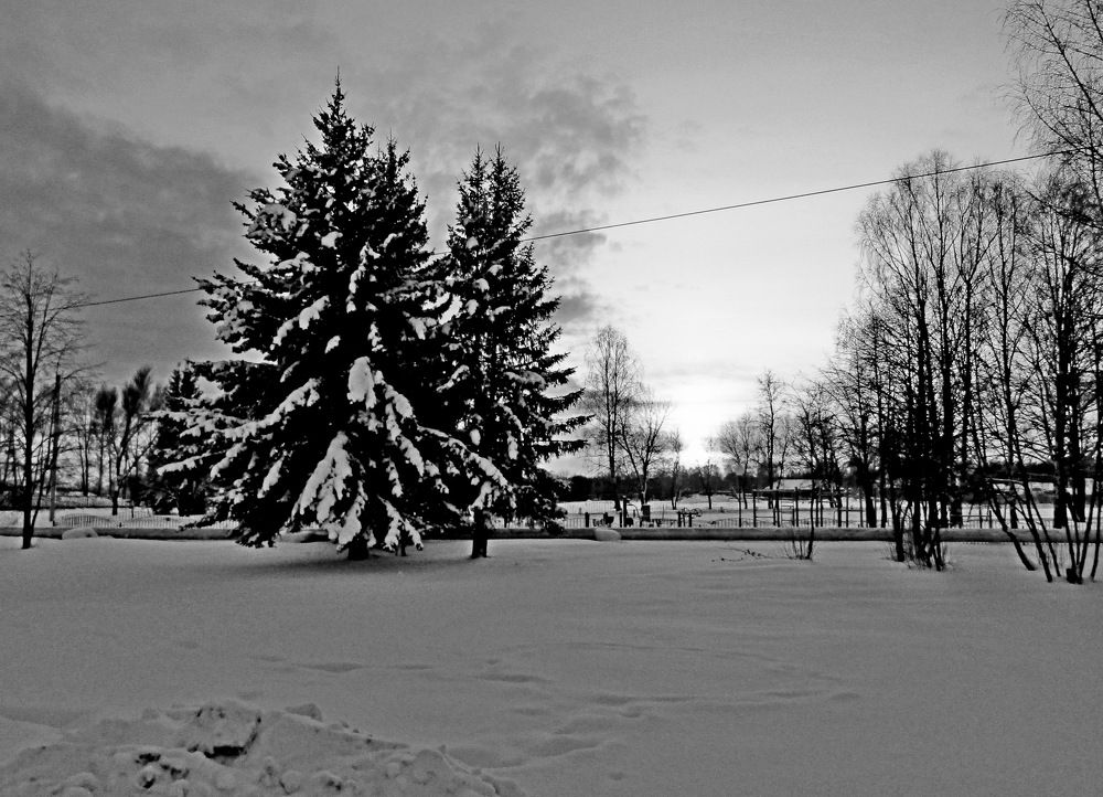 Photograph by Дмитрий Симагин