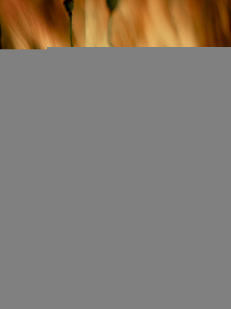 Photograph by Mirosława Michalak