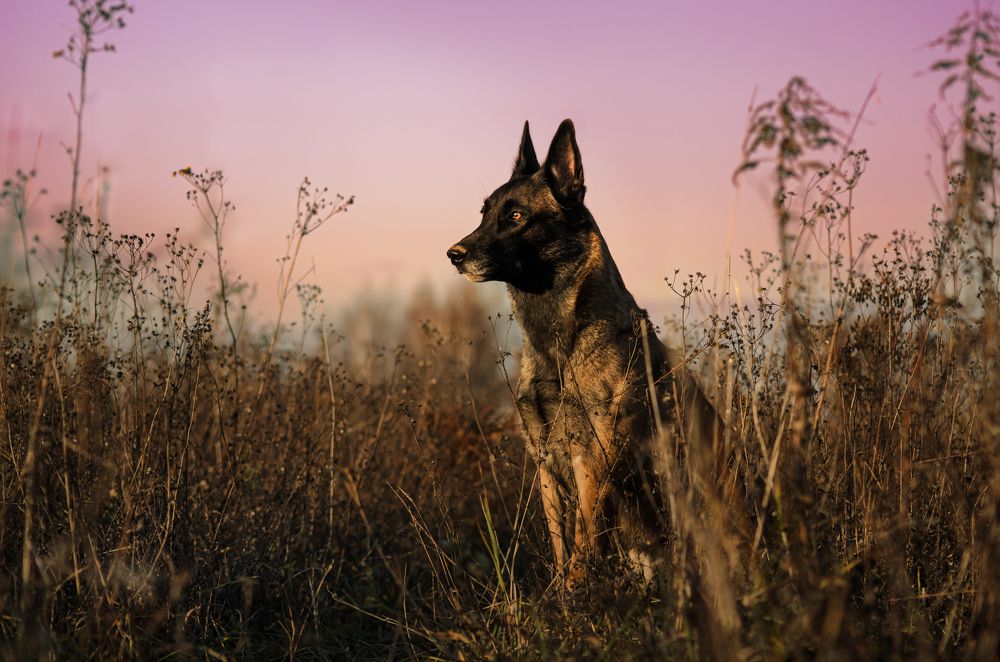 Photograph by Ольга Новикова