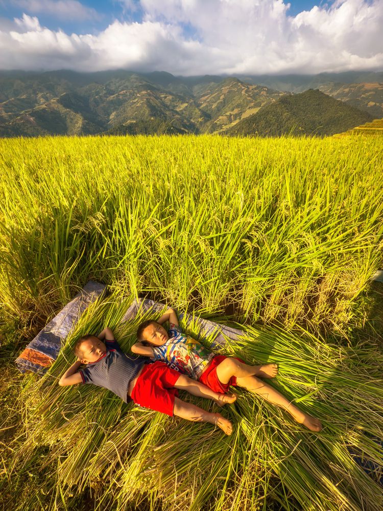 Photograph by Tran Phuong