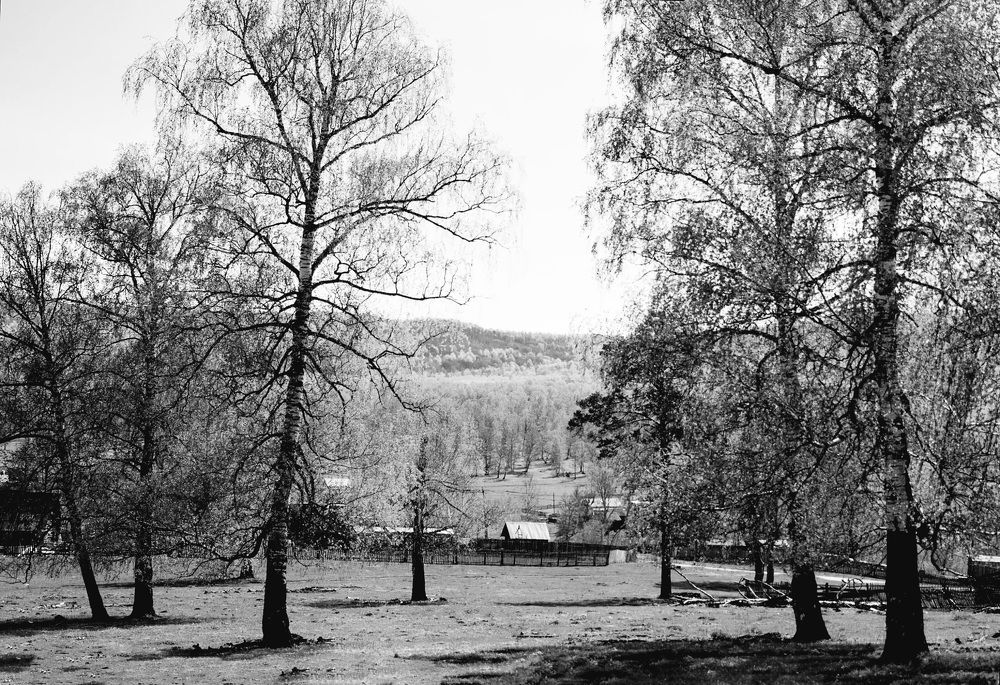 Photograph by Назмутдинова Сауия