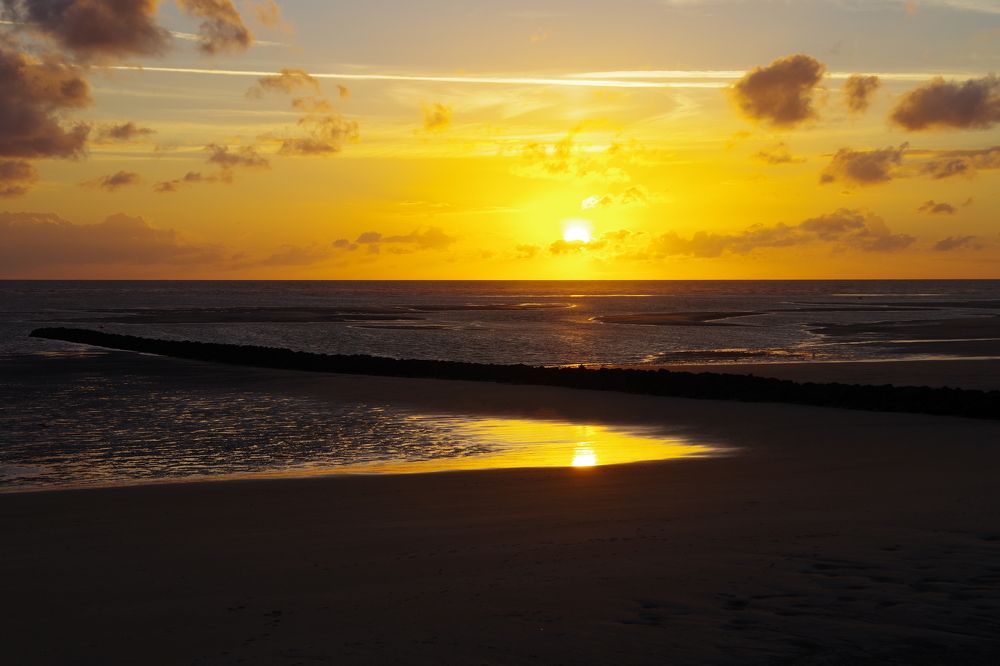 Photograph by Julia Smilovitsky