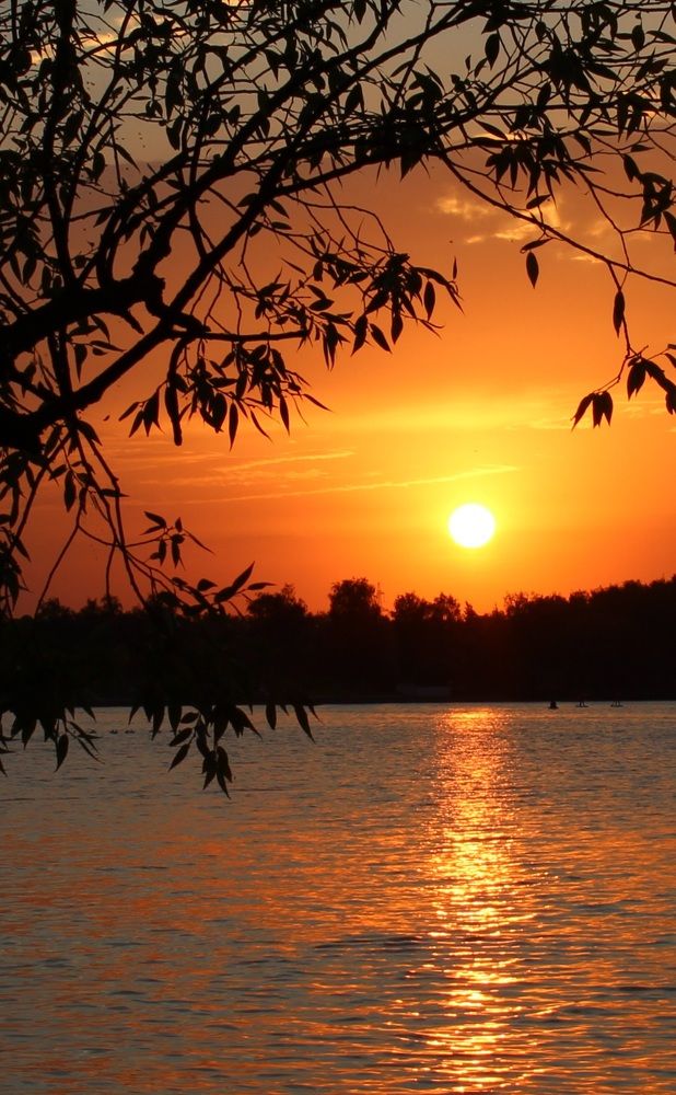 Photograph by Татьяна Сычёва