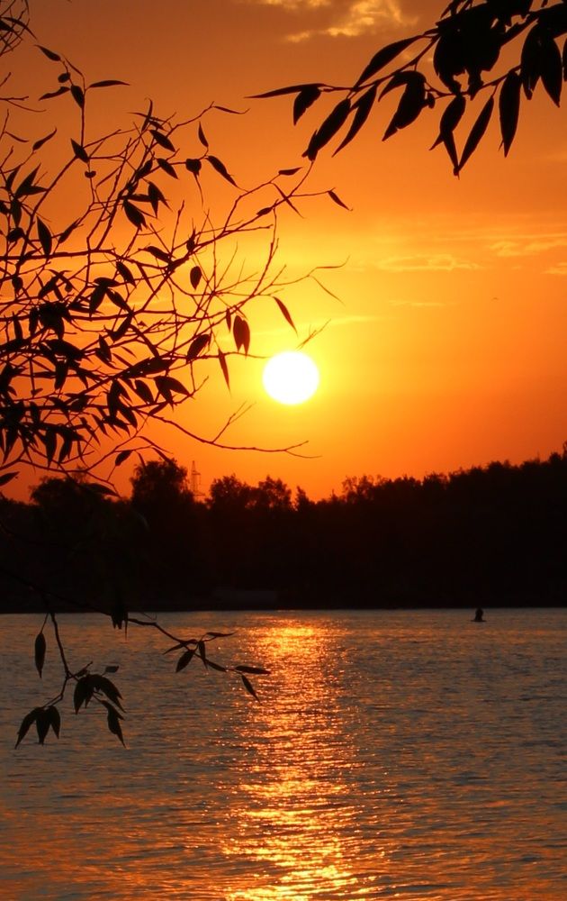 Photograph by Татьяна Сычёва