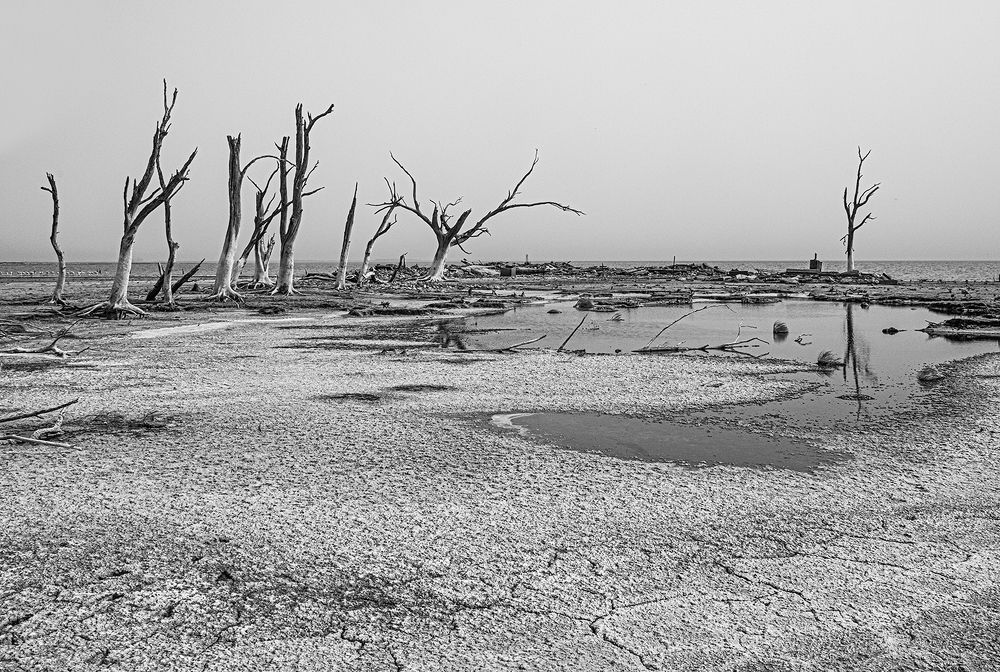 Фотография автора Marina Martorelli