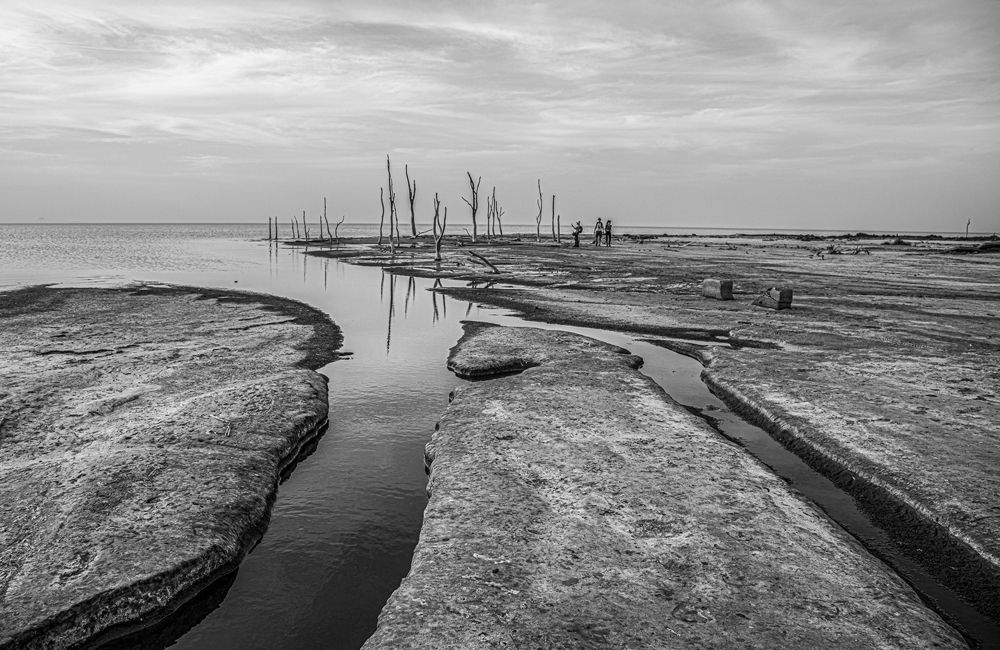 Фотография автора Marina Martorelli