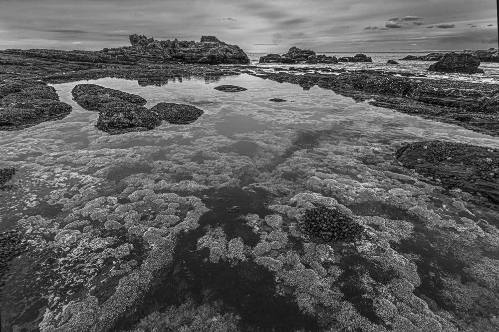 Фотография автора Marina Martorelli